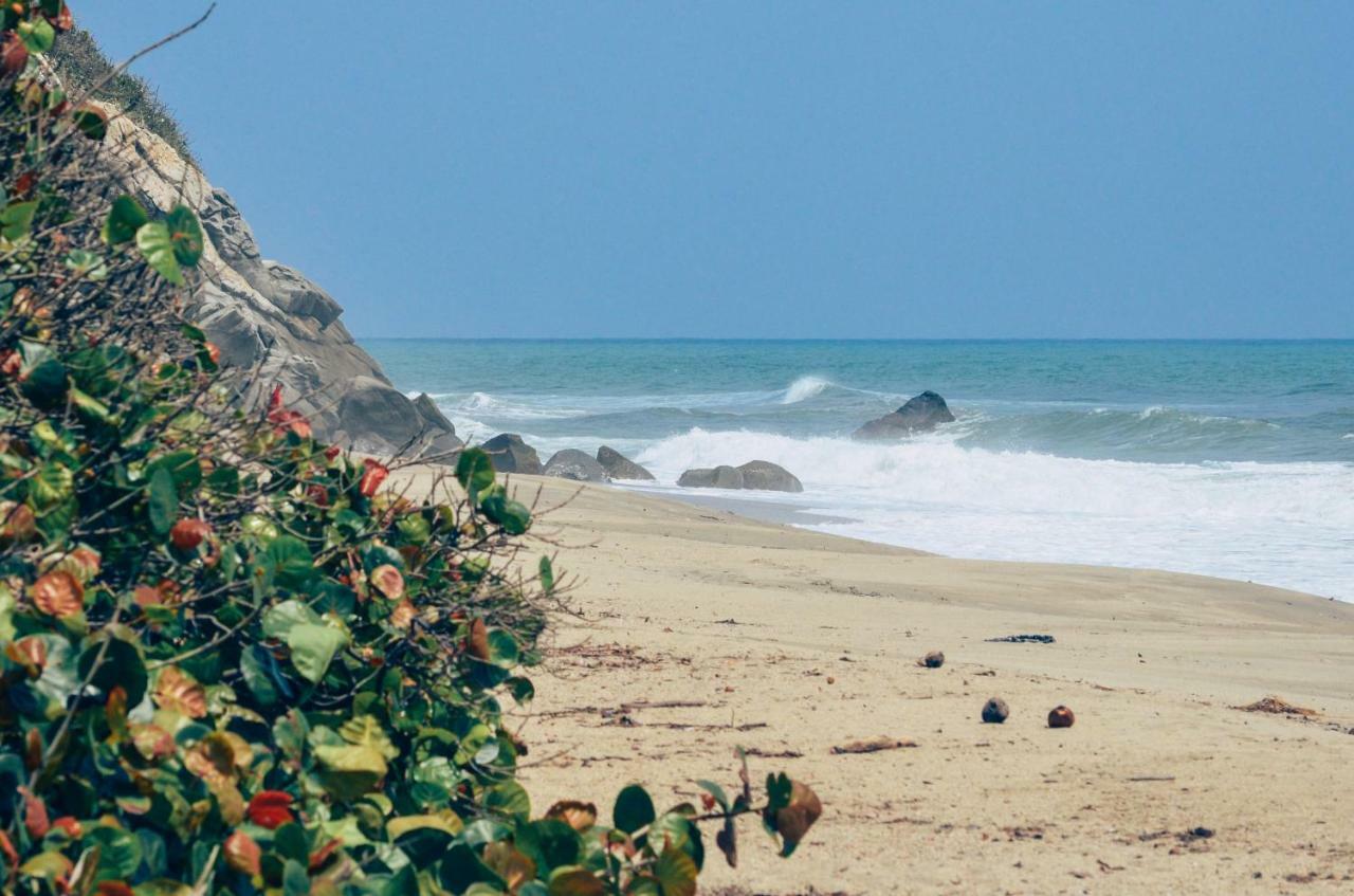 Playa Los Angeles 로스나란조스 외부 사진