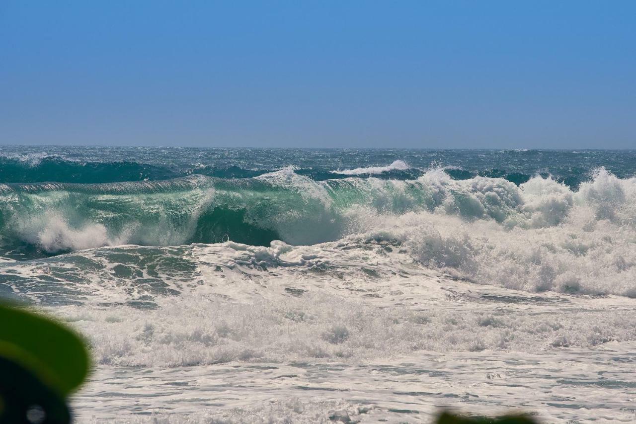 Playa Los Angeles 로스나란조스 외부 사진